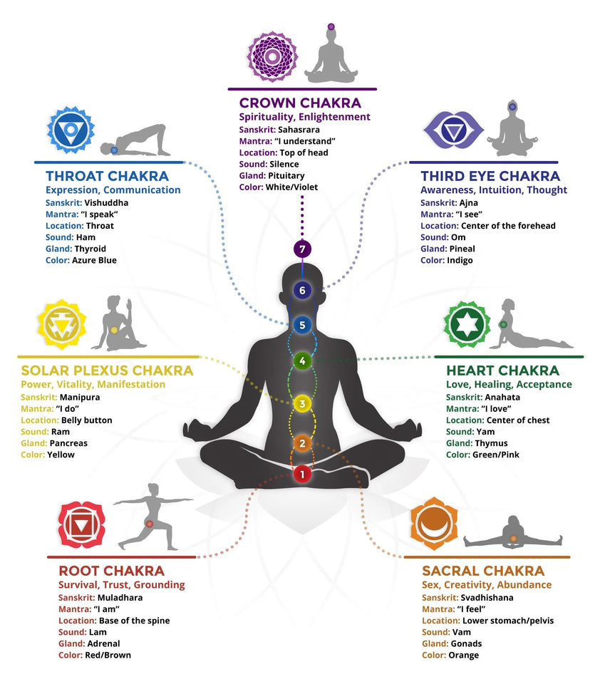 Explorando los 7 chakras